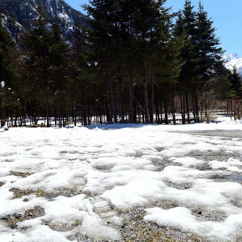 我来川西赏雪