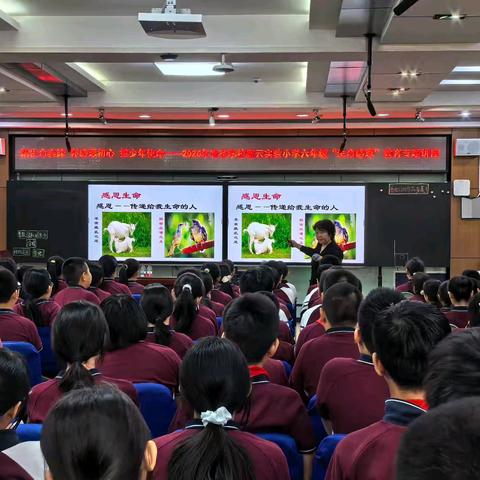 悟生命真谛 怀感恩初心 担少年使命 —— 北京市育英学校开展六年级“生命感恩”教育专题讲座