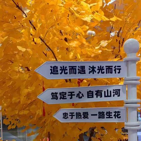 跳出藩篱