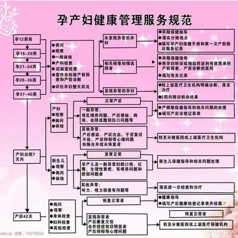 【“三抓三促”行动进行时】孕产妇早孕建册须知