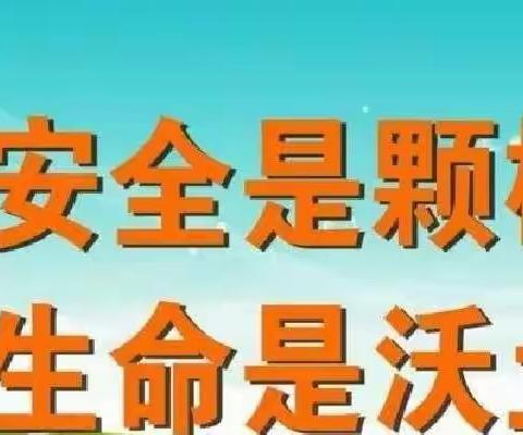 用心守护，为爱站岗——灵武市第八幼儿园中一班护学岗