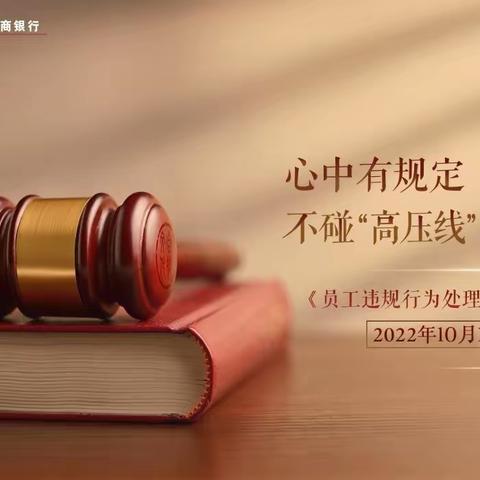 抚州崇仁支行组织开展《境内分行合规经理履职指导手册》学习宣导