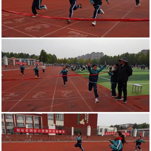 活力绽放，少年逐梦运动场 ——阳谷县铜谷小学第四届体育节纪实