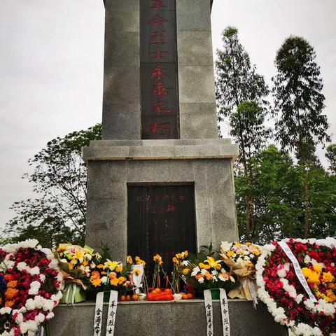 “祭扫烈士墓，缅怀革命情”——合浦县第五中学清明祭烈士陵园活动