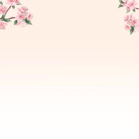 净化校园环境，共建美丽家园——南安乐小学爱国卫生月活动