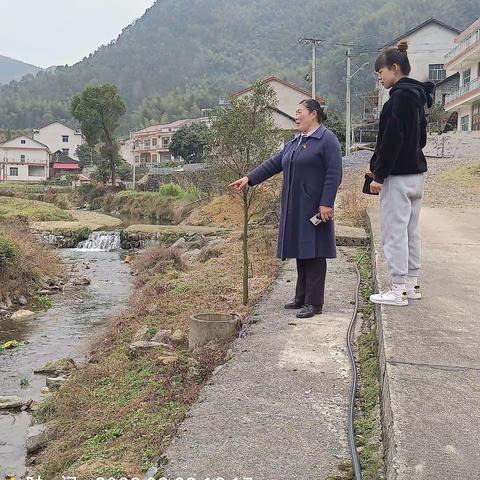 美丽乡村创建前