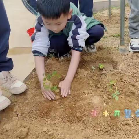 【沂水县开慧实验小学】春日里，共赴一场“种植”之約