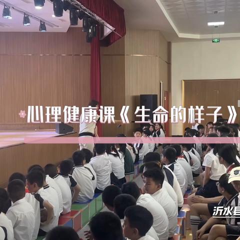 热爱生命，拥抱生活——沂水县开慧实验小学开展学生心理健康教育讲座《生命的样子》