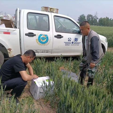 陈王街道: 小麦“一喷三防”    护航夏粮稳产增收