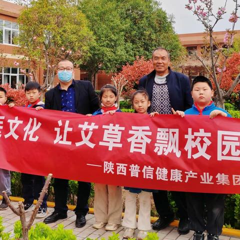 传承中医文化，让艾草香飘校园—陕西普信健康产业集团