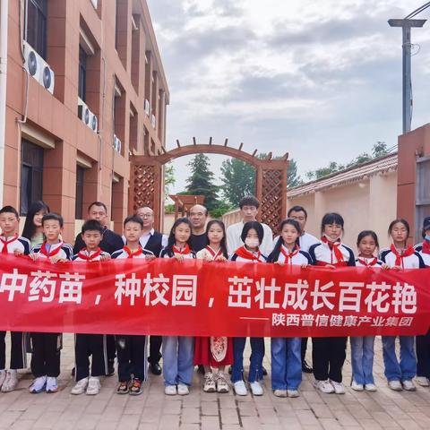徐寨小学同学们开展了中草药药苗的栽种活动
