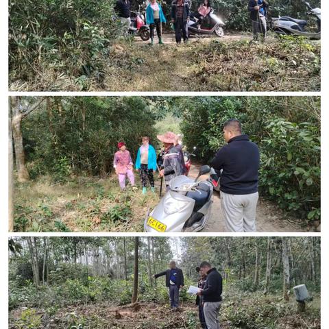 南宝司法所联合镇资规所成功调解一宗土地纠纷案件