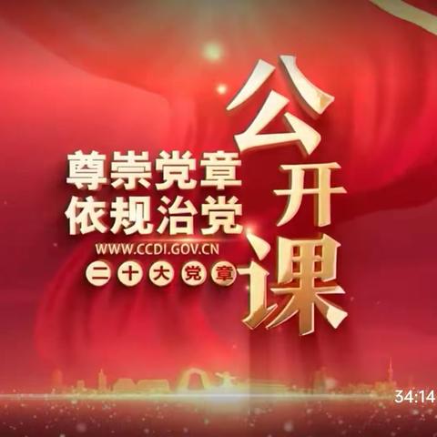 滨海县界牌镇中心小学党支部2023年5月份党员活动日