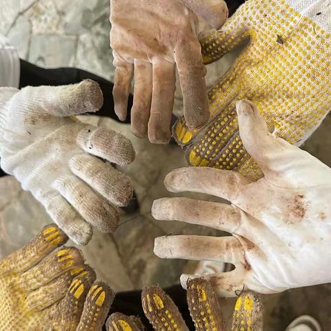 争分夺秒齐重建、全力以“复”显担当 ——海南实业公司在行动