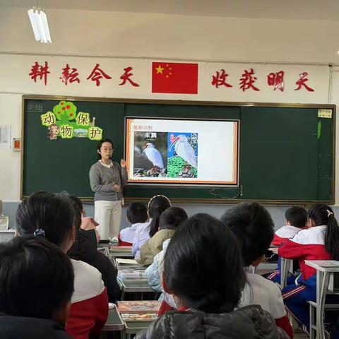 美育润童心 教研促成长——曙光小学美术联片教研活动
