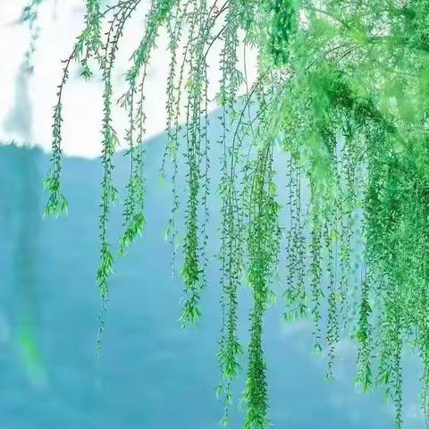 携手教研春常在，共促成长花常开——记朱集中心校教研活动王卯站活动纪实（一）