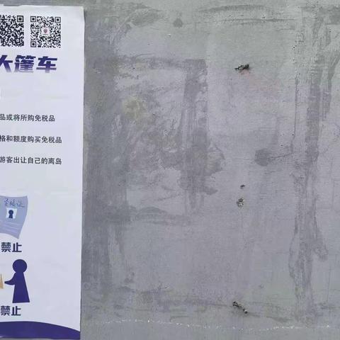 多琏村委会开展反走私“套代购”普法宣传活动