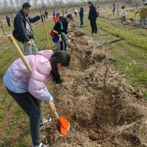 “传扬黄河文化，共筑绿水青山”铁路玉函社区开展地名宣传与亲子植树活动