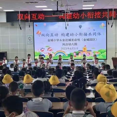 双向互动 共迎美好——金城小学开展构建幼小衔接共同体活动