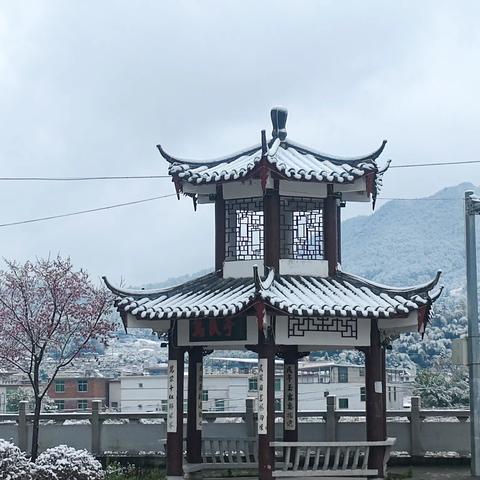 校园雪景美如画 师生玩雪欢乐多——2024年上堡小学的第一场雪