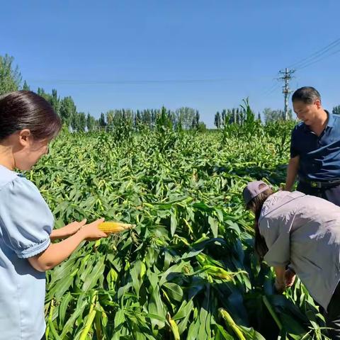 市应急管理局救灾和物资保障科一行到永年区核实灾情