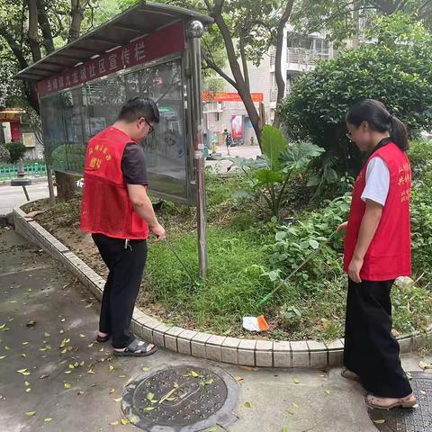 九龙城社区开展“护河爱水 清洁家园”志愿服务活动