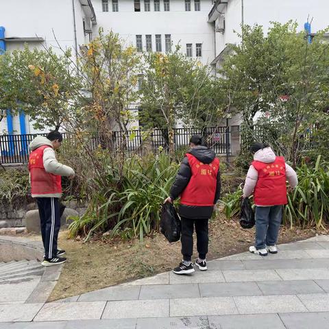 九龙城社区开展“护河爱水 清洁家园”志愿服务活动