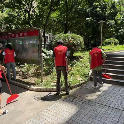 九龙城社区开展“护河爱水 清洁家园”志愿服务活动