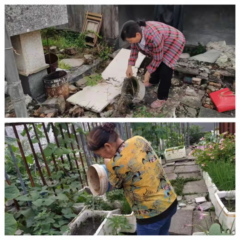 九龙城社区开展“护河爱水清洁家园 翻盆倒罐防基孔肯雅热”志愿服务活动