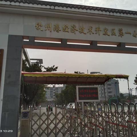 回顾港区一小办学起步与发展