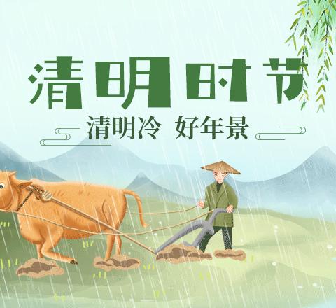 小二班清明节科普教育