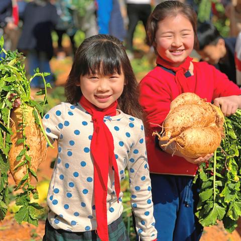 以“劳”树德   以“劳”育美 ——荣光学校二年级荣宝拔萝卜活动