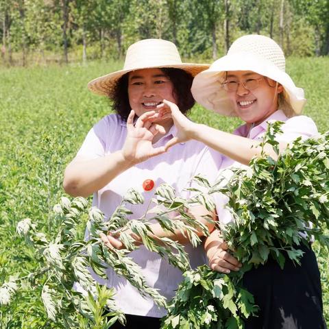 沂蒙艾飘香 端午粽意浓——县直孤困儿童服务团带领孩子们领略端午节传统习俗