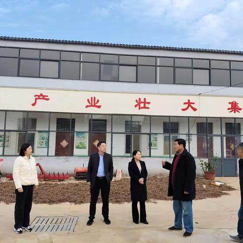 区人大常委会副主任王双荣到 桂村乡进行调研