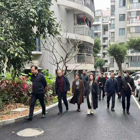 市房管局开展“美丽家园”专项行动检查工作（五）