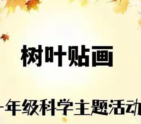 拥抱秋天---横沽中心小学一年级“树叶贴画”科学实践活动