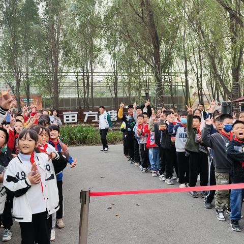 走进劳动基地  助力学生成长——横沽中心小学开展劳动实践活动