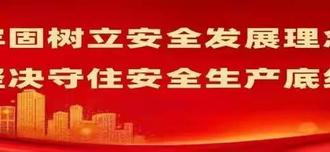 【农村党建】党支部书记代平安的乡村振兴梦！