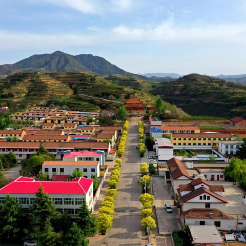 【党建引领基层高效能治理】南村乡：党建领航聚合力 基层治理结硕果