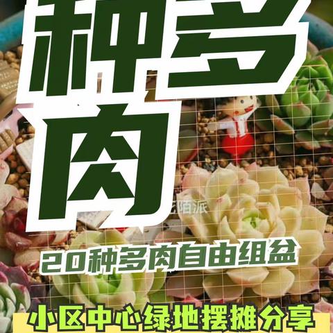 东海园艺会2023年菜苗、多肉、花种分享之春播计划记实