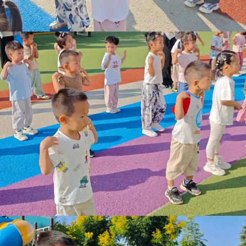 留古镇中心幼儿园中二班第4、5周活动影集