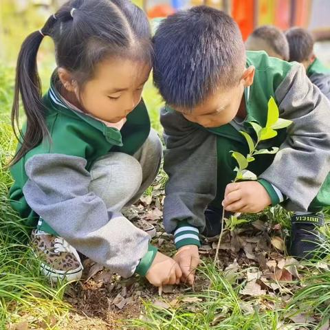 【秋季降温，科学保暖】——邓湖莲歌幼儿园秋季保健温馨提醒