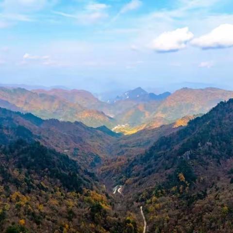 薪火传芳育新苗 体教融晖绽华彩——木王镇九年一贯制学校第十一届秋季田径运动会圆满收官