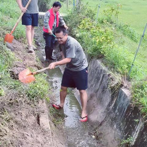 合力清修水渠，助力农业生产——公坡村治水攻坚中队清修水利治水活动