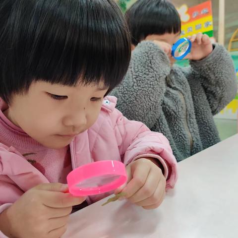 科学实验课---放大镜