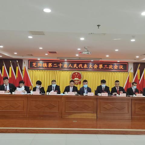 芝阳镇召开第二十届人民代表大会第三次会议