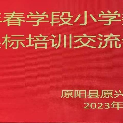 2023年春学段小学数学新课标培训交流会