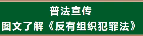 曹远镇带您图文了解《反有组织犯罪法》