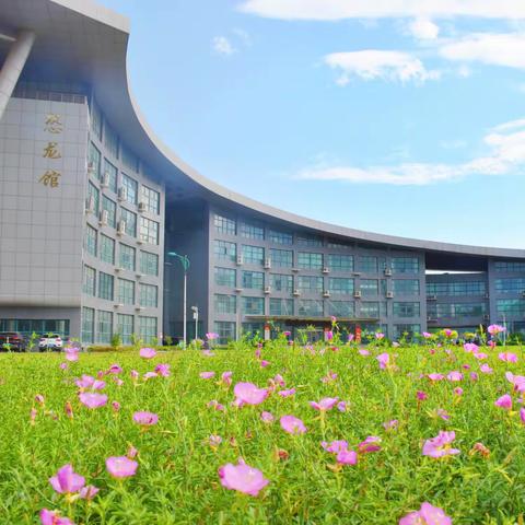 “预防伤害致残，共创健康生活”  焦作市宇华实验学校开展第九次残疾预防日主题宣传教育活动