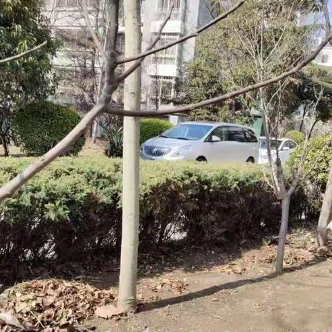 文昌社区在辖区小区内开展巩卫清扫活动